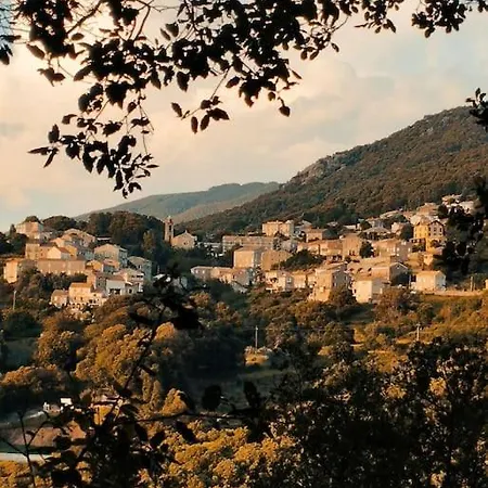 Rez De Maison/jacuzzi Prive/patio Fleuri アパート Olivese