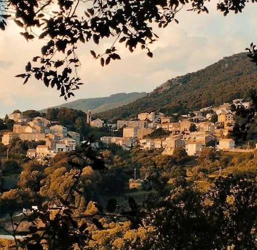 Rez De Maison/jacuzzi Prive/patio Fleuri Appartement Olivese