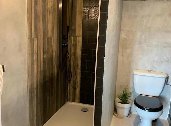 Rez De Maison/jacuzzi Prive/patio Fleuri Appartement Olivese